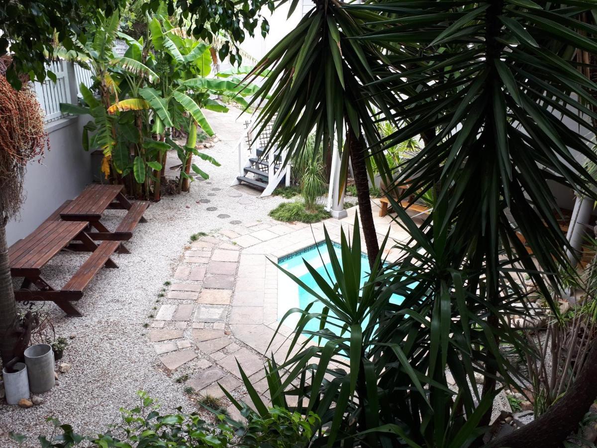 Knysna N2 Lodge المظهر الخارجي الصورة