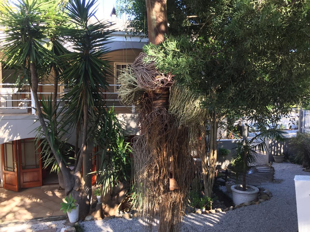 Knysna N2 Lodge المظهر الخارجي الصورة